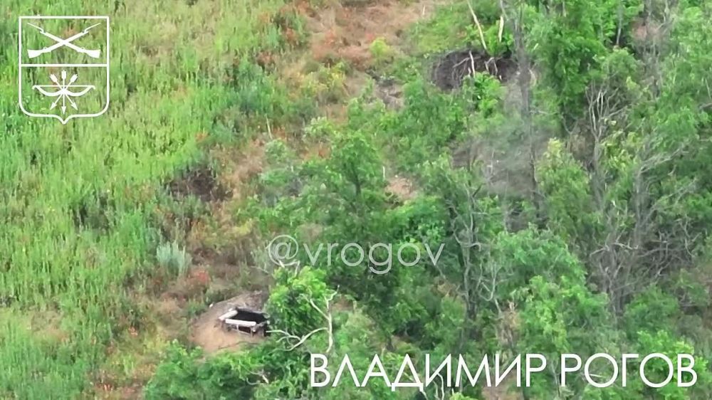 �������� �����: FPV-��������������� �� ����������� ������ ���� ��������