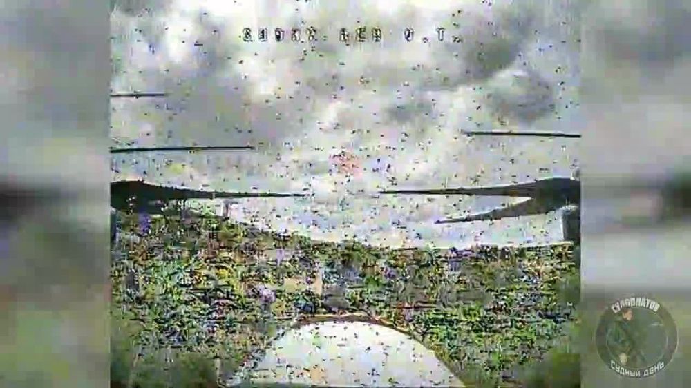 ���������� FPV-�����-��������� ���������� ������� ���� ����������