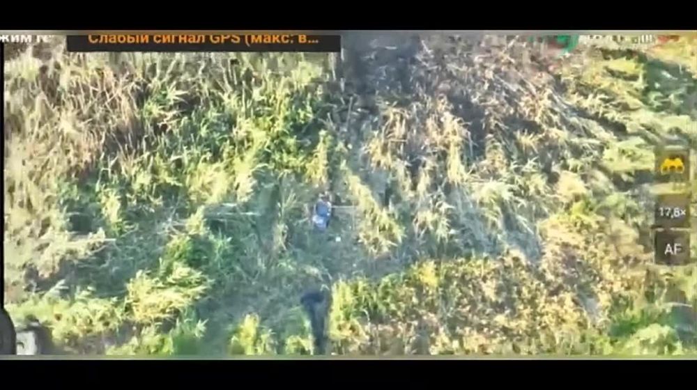 "�������� ����������� �������� �����, ���������� - � ����� �����,"- ������ ����������������� ��� ������� �������� � ���� ����������������