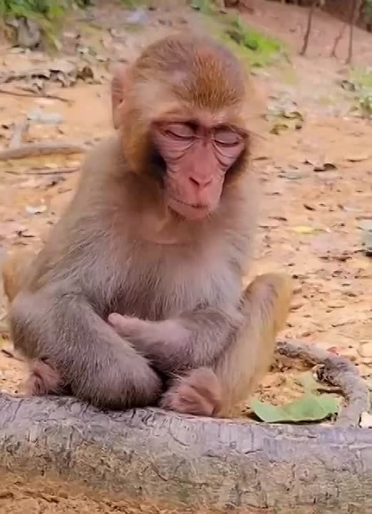 ����� ������ �� ������ � ������ ���������