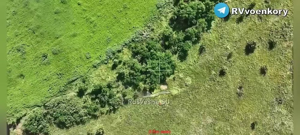 Евгений Лисицын: Добровольный казачий полк с Кубанки бьет укронацистов на Запорожском направлении