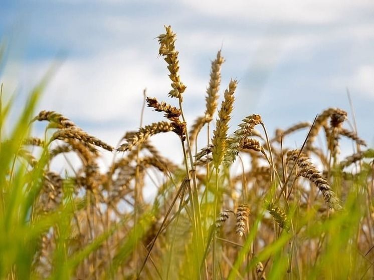 ������� ����� �������� �� �������� �������������� ������ ��� �������� ��������� ���������