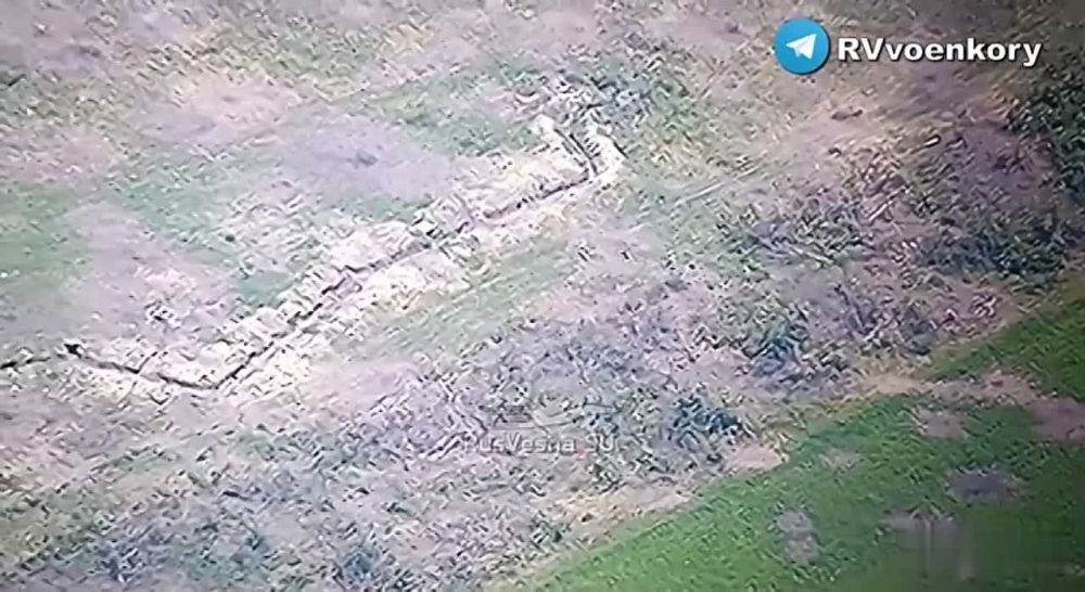 Евгений Лисицын: Российские подразделения заманили украинских боевиков в ловушку на Запорожском направлении