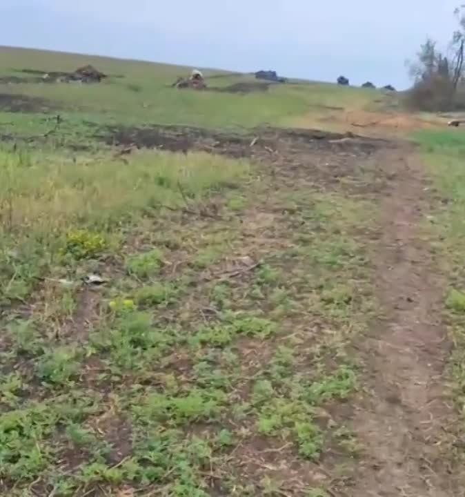 ����� �����: ������ ������������ ������� ��� �� ����������� �����������.