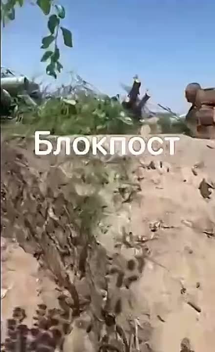 ����� ��������� ������ Z���������, ��� ������ ��� ���� ����� ������������� �� ������ ������