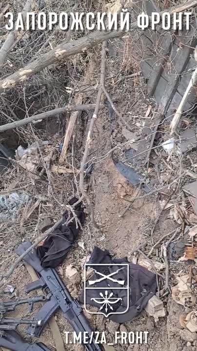 ����� �����: ����������� �����������.. ����� 291-�� ����� ����� ��������� ���� ����������, �������������� � ������ ����� ����������. � ������ ������������ ��������� ����� ����������. ����� 18+