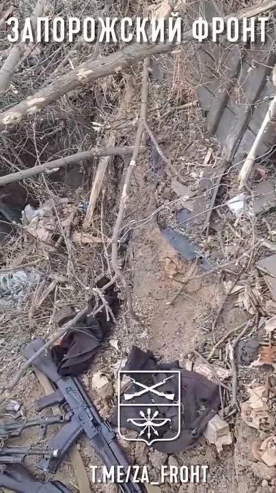 �������������� 291-�� ��������������� ����� 42-� ��� ��� ������������ ����� ����������, � ������� �������� ������ ��������� ������ ������ ���, ����������� �����������