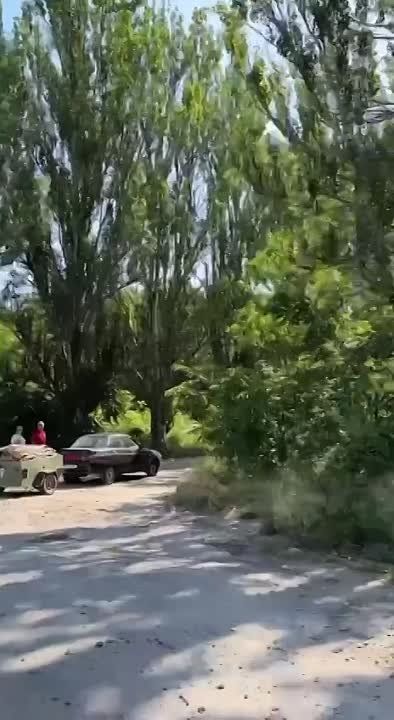 ������� ������ ������������� � ��� ������������