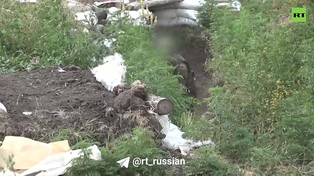 ����� � ���������. ����������� ������� ����������� ���������� ���� ��������� ����������� �������, �� ����� ������������� ���������� �������� ������ �������� ������ ����������� �� 15 �������