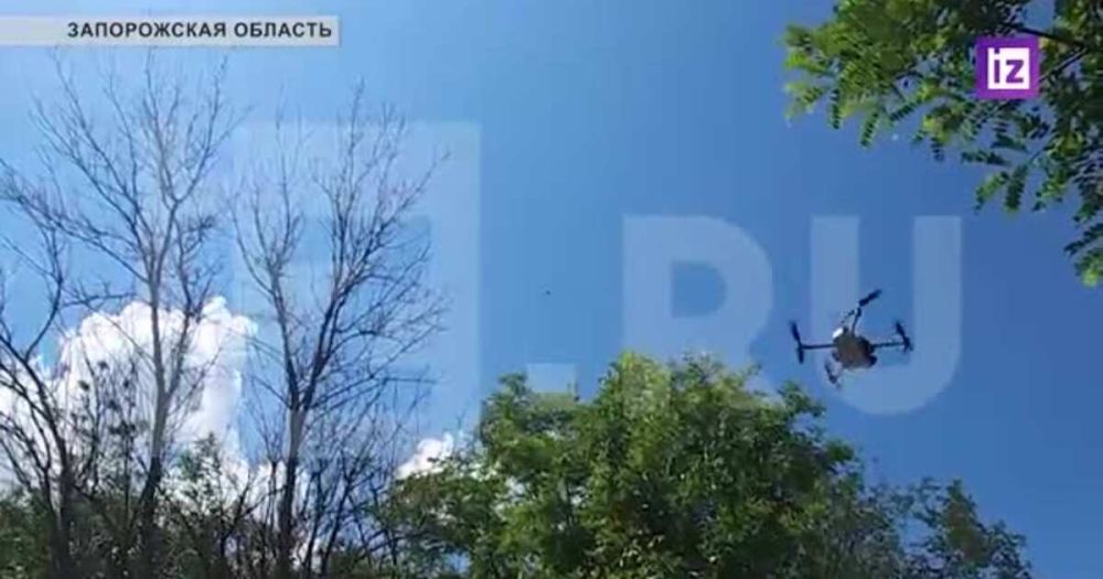 ���������� ������� ���������� ������ ����������� ��� ����������