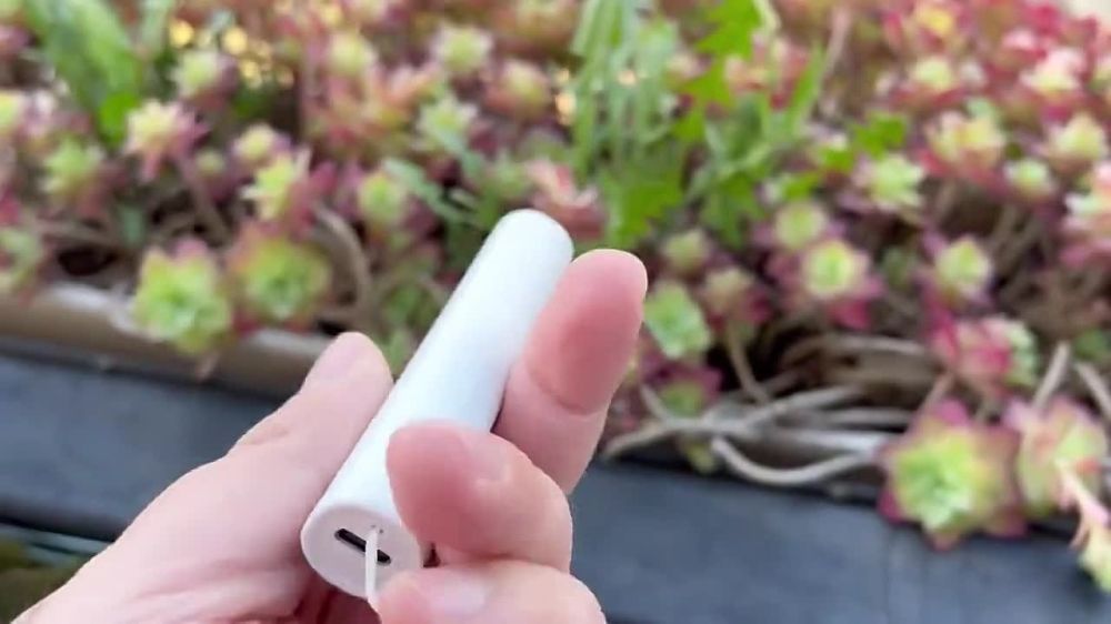 Xiaomi ��������� ������-������� ��� ����, ���� �������� ������