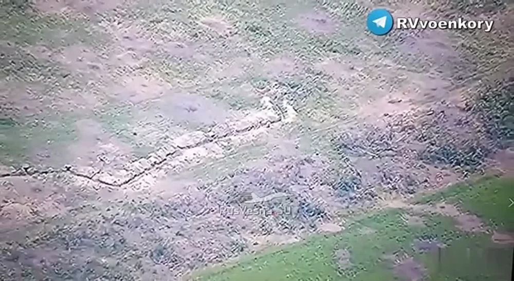 � ������ ������� ����������� ������� 6 ���� ���� ����� ��������� ������� �������� � ������ �����������