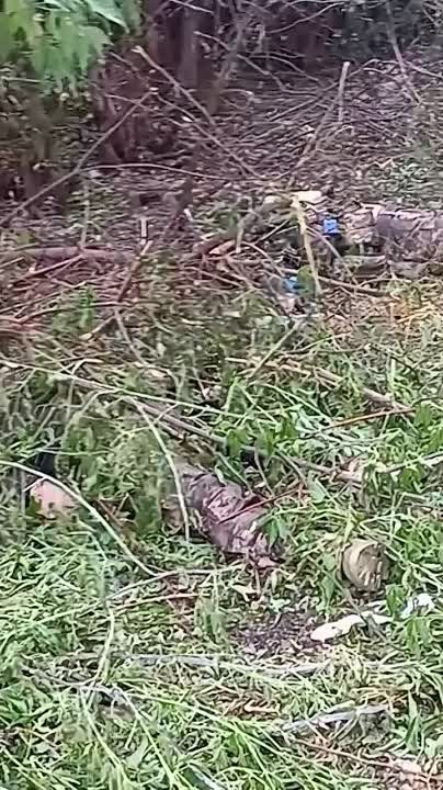 Андрей Руденко: +18. Иностранных наемников все больше и больше в рядах ВСУ. Их точно также бросают в атаки как и мясо собранное на улицах Украины