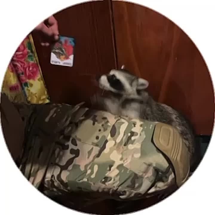 ������ ��� � �����. ��� ������ ������)) ��� ����� | ��� ��� | ��� ��� #����������� #��������������������� #��������� #������