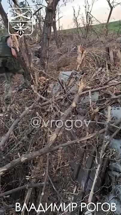 �������� �����: ������� ���������� ���� - ����� � �������� �������� ������� ��������� ������������ ������