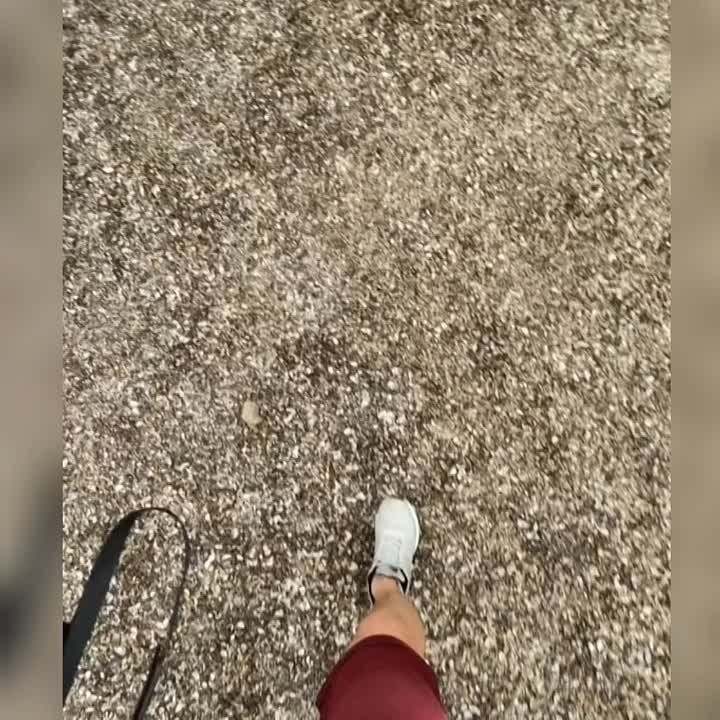 ��� ���, ��� �� �������� �������������� �������� ������� ��������� ������������ �� ����������� �������� � ����������