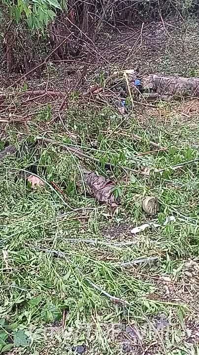 ����� �����: �� ����������� ����������� ������� �������������� ����� ���������� ������������ ���������