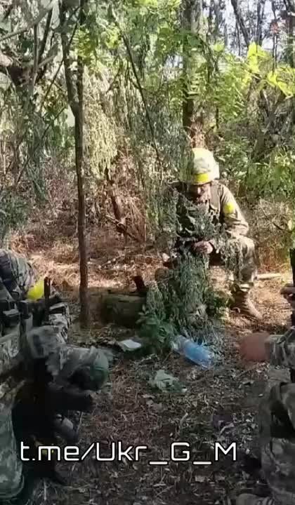 ����������, ������� ������� ������ ������� � ������ ��������� �� ���, ������� ����� ������������