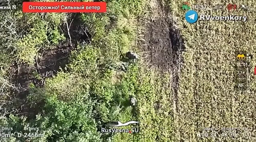 ����� �����: ���� ����� ��������� � ������ ����������� � ������ ��� � ���� � ���������