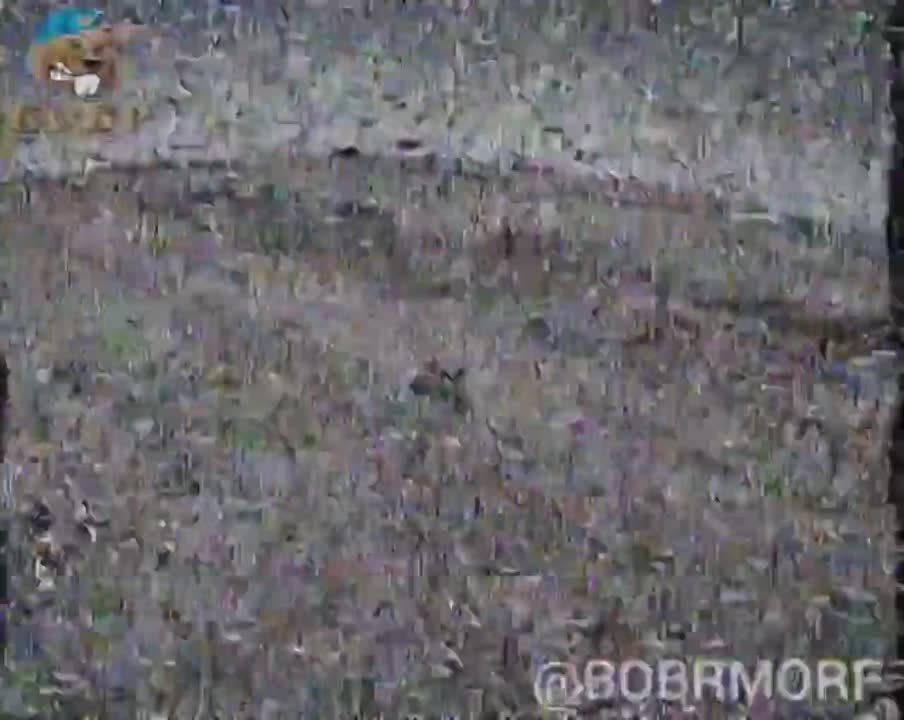 Евгений Лисицын: Ударные дроны-камикадзе крошат натовскую технику на Запорожском фронте