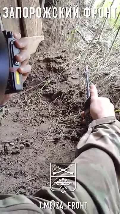 ������� � ������� ������ �������������� ��������� 128-� ������� ��������� � ������� 58-� ����� �� ������������ ������������, ����� ������� � ���� � ��������� ���� �����, �������� "����������� �����"