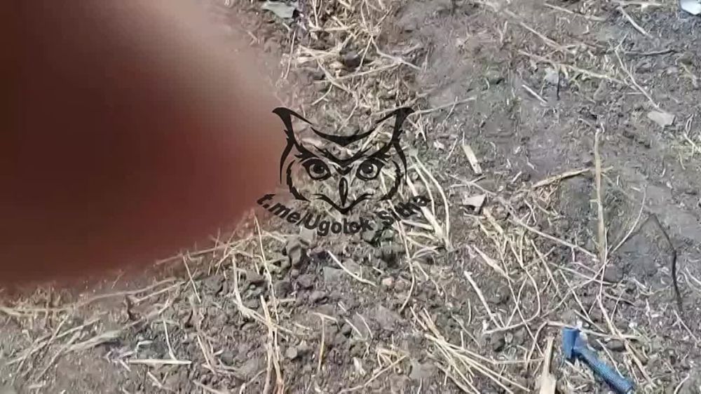 ����� �����: ��� ���� ������ ������������ ������� ��� �� ����������� �����������