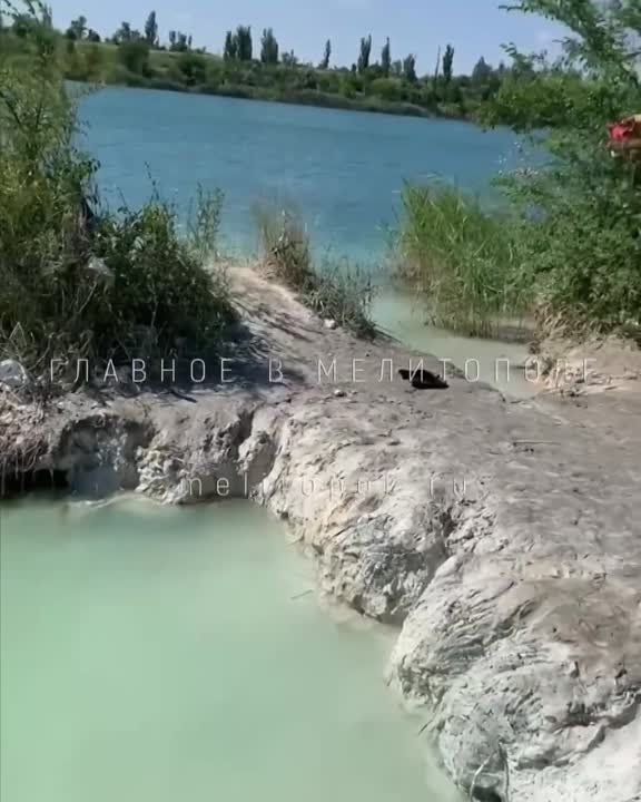 ����, �������...� � �������������� ��������� ������ ������������ ��������� ������� � �������