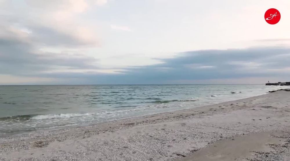 31 ���� ������ ������� ����������� ������� �� �������� �������� �������