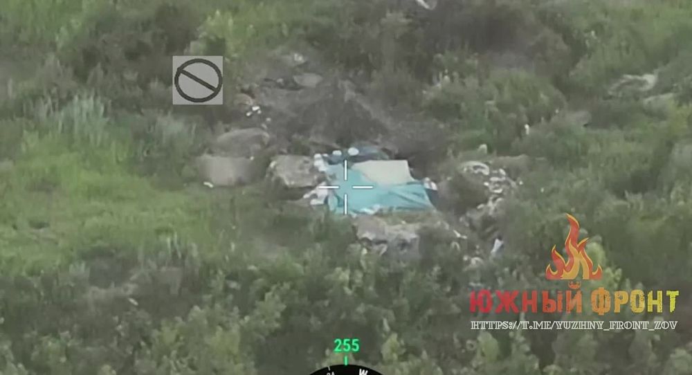 ������� ����� ���, ������� ��� ���������� ����� ����������� �����-���������, ��� ������� � ��������� ���