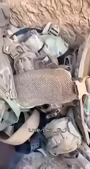 �������� �����: ��� �� ������ ��������?. ��������� ������� �� "��������", ������������, ������������� ��� ������ ���� ���� � ��������� ������������� ����������