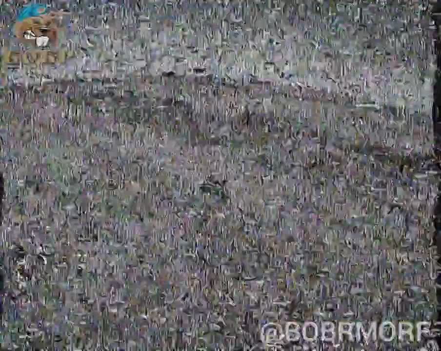 ��������� FPV ������-��������� ��� �� ������ �������� �� ����������� ����������� ���������� ��� M2A2 Bradley ODS-SA ������������ ���