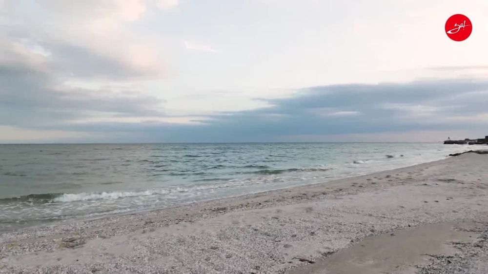 31 ���� ������ ������� ����������� ������� �� �������� �������� �������