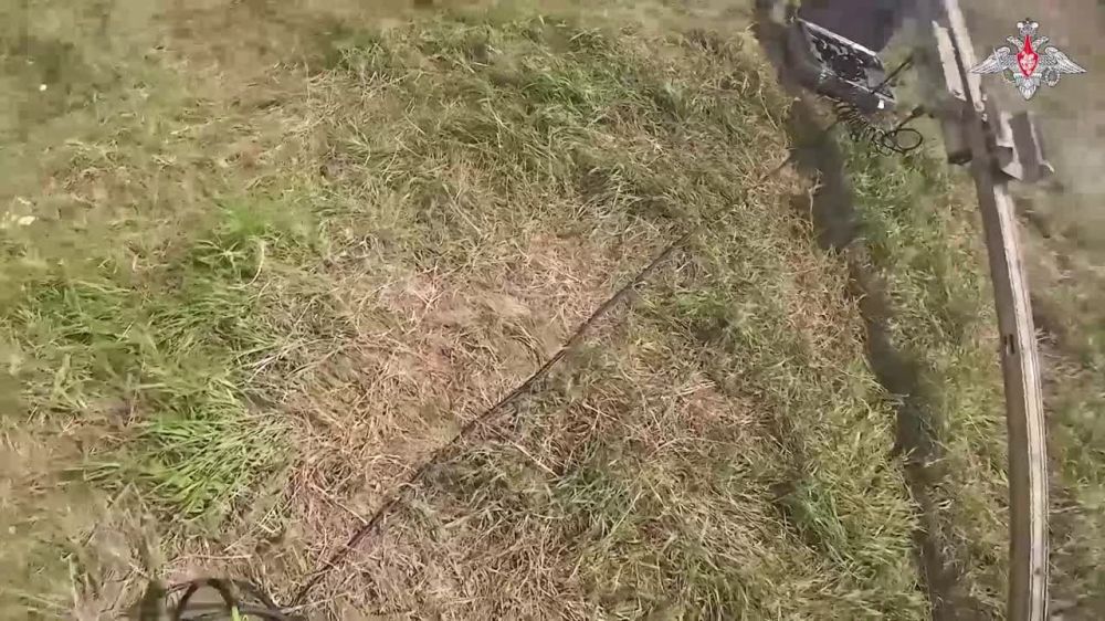 ���������� ������� ��������� ������� ����������� ���. ������ ������������ ������������ �������� �Zala� ���������� ����������� ��� ����� ���� ������� �������� �� ���������� ��������, ������� �� ����� ������ ����������� � ������� ����������