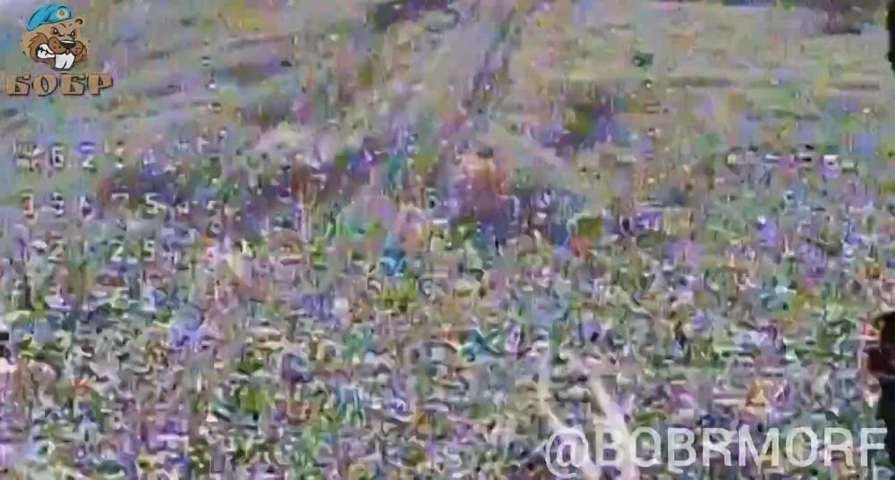 Андрей Руденко: Прогулка по Запорожским степям у солдат киевского режима не удалась