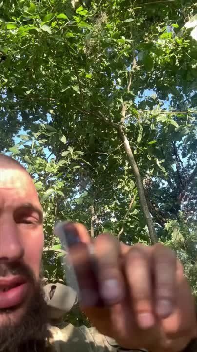 "����� �������� �������"..