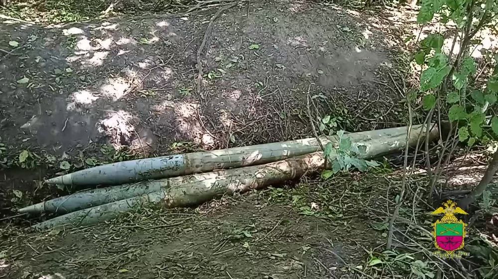 � ����������� ������� ����������� ������� � ���������� ������ � ��������������� ���������