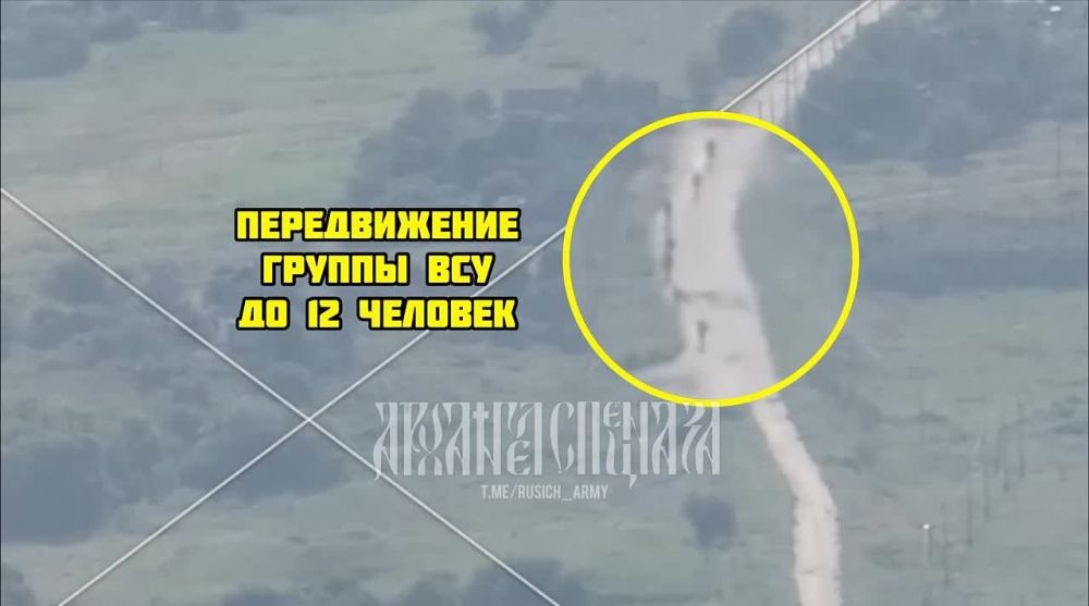 ����������� �����������, �������� �.�. ���������, ������ ������ �������������