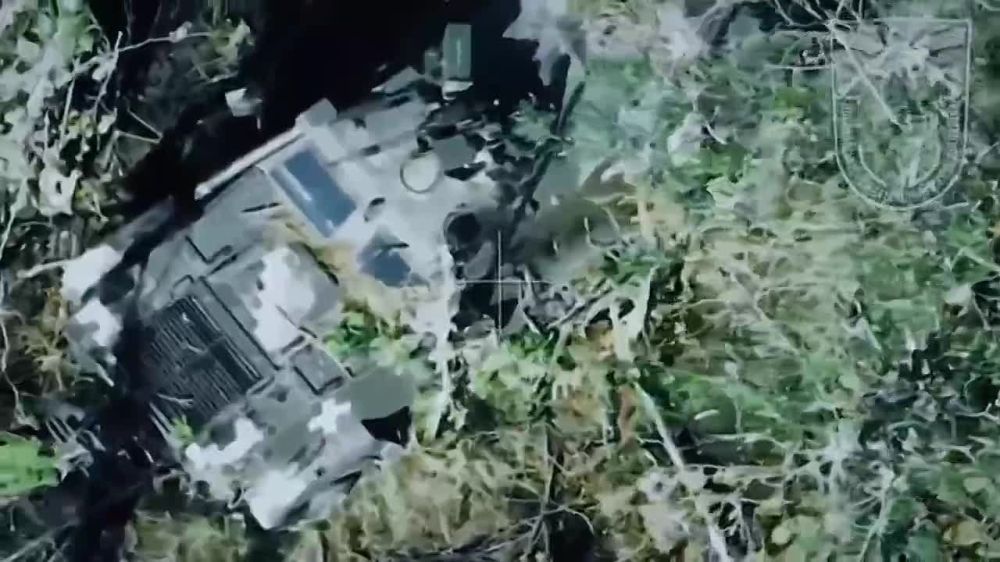 Евгений Лисицын: Противник ежедневно несёт огромные потери у Пятихаток на Запорожском фронте