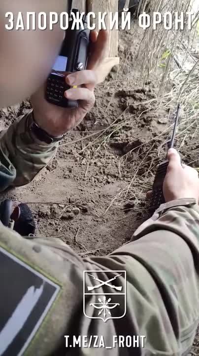 ��� �� ����� �������, �� �������, ����