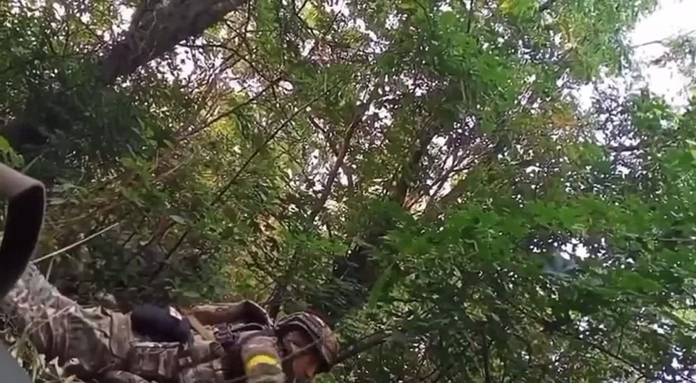 Андрей Руденко: Запорожье н п Работино.. Хохлы вместе с наемниками из Колумбии ( Да, и такие там есть. Рекрутирование идет по всему миру) решили сходить в атаку. На пути им встал наш танчик