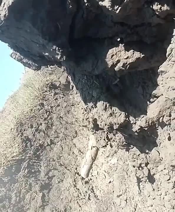��������� ���������: ����� � ���-��� ������, ������� ��� ����� � ����������� �� ����������� �����������