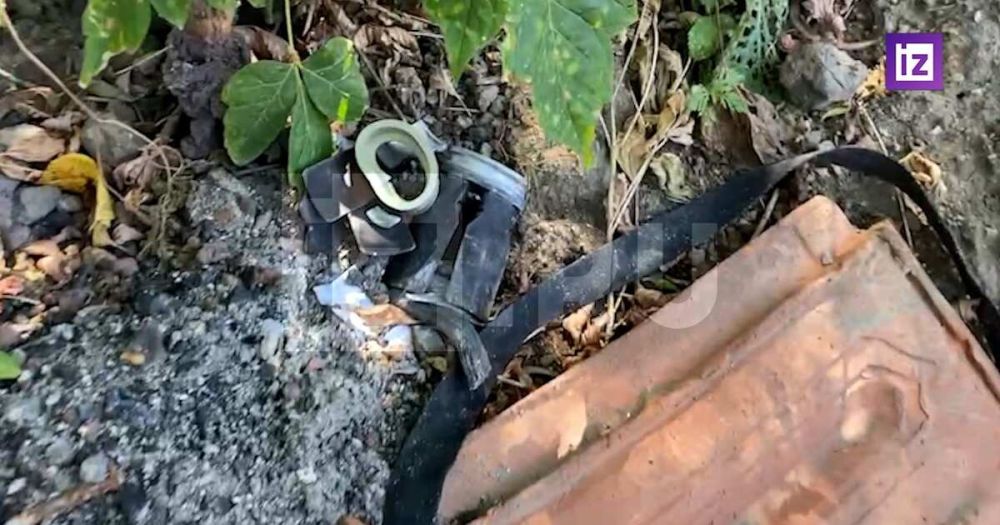 ����� � ����� ������ ������� ��� �������� ��� � ����������� �������