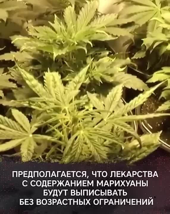 ���������� ������ ������ ������������� ������������������ ���������