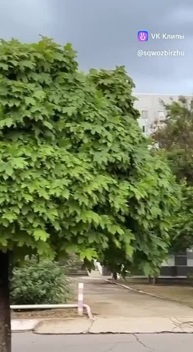 ���� ����������� ������� � ��� ��������, �� ��������� � ��� ������� ������
