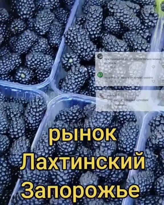 ������ ������ ��������� � ������ ��������������� ��������� ������ ������ ��������� � ����� �� ��� �� ����������� �����