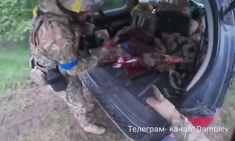 ������ �������: ������ ����������� "������������"