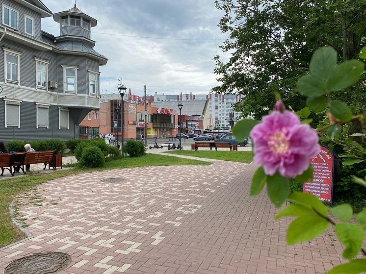 ������������� ������� ������� ���������� ������