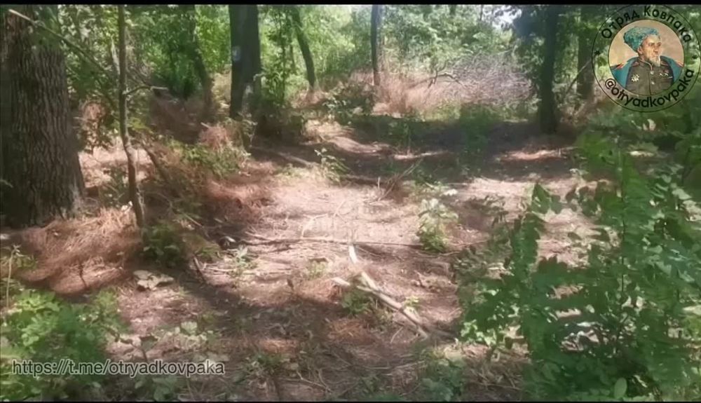 ������������ � ������������ ������ �������� ���� ��� � ���������� ������������ ������������