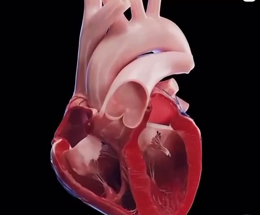 ���������� ������ ������ �������� ����� �������� ���������� ������ � 1,5 ����