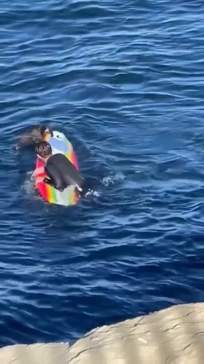 �, ��� � ������������� ������������ ��� ����� ������� ����� ������
